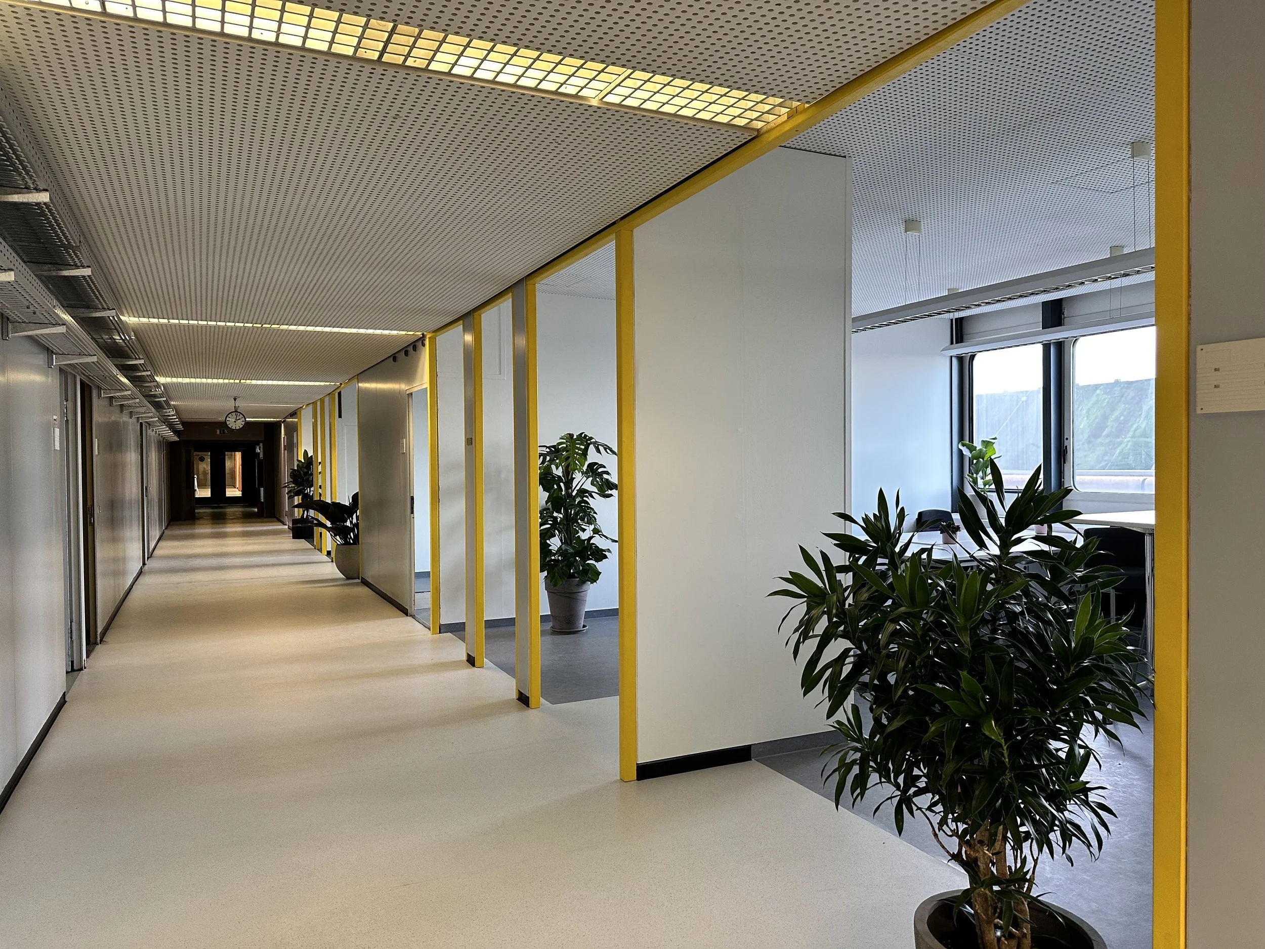 Großraumbüro Wand- und Decken-Abkofferung Ansicht 2
